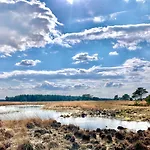 Veluwse Wolf: Natuurlijk Genieten! Tatil Evi