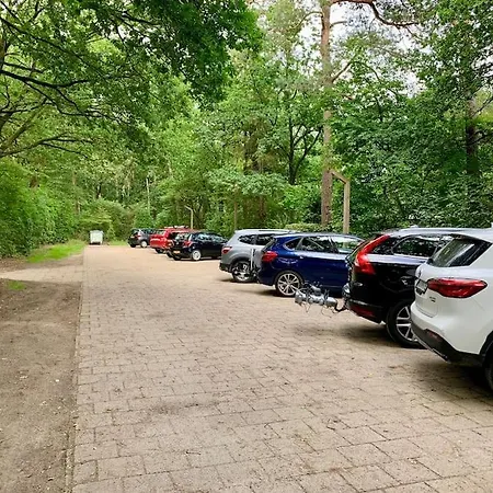 Veluwse Wolf: Natuurlijk Genieten!