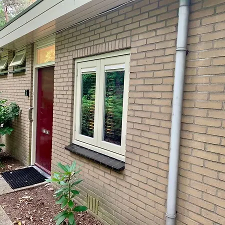 Veluwse Wolf: Natuurlijk Genieten! * 오털로