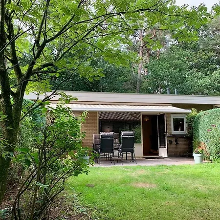 Veluwse Wolf: Natuurlijk Genieten! * Otterlo