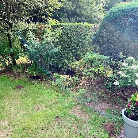 Veluwse Wolf: Natuurlijk Genieten! *