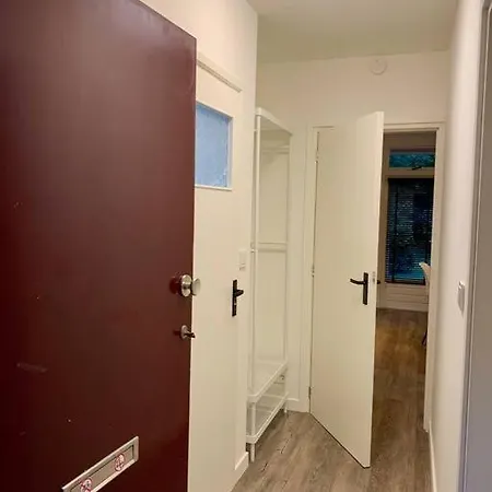 Veluwse Wolf: Natuurlijk Genieten! Otterlo