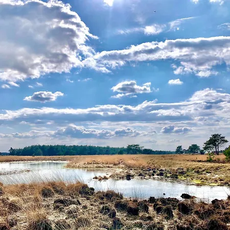 Veluwse Wolf: Natuurlijk Genieten! Ferienhaus