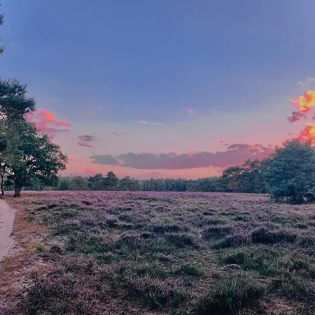 Veluwse Wolf: Natuurlijk Genieten! Сasa de vacaciones Otterlo