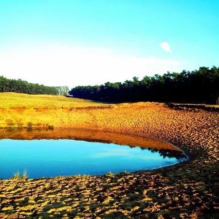 Veluwse Wolf: Natuurlijk Genieten! * Otterlo