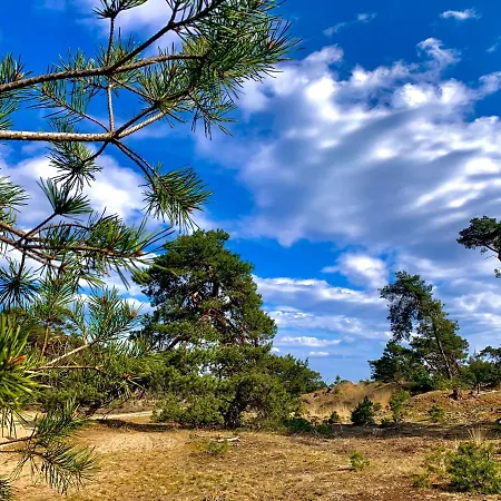 Veluwse Wolf: Natuurlijk Genieten! Otterlo