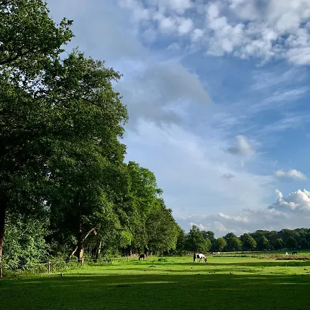Veluwse Wolf: Natuurlijk Genieten! Otterlo