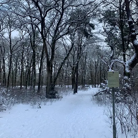 Veluwse Wolf: Natuurlijk Genieten! *