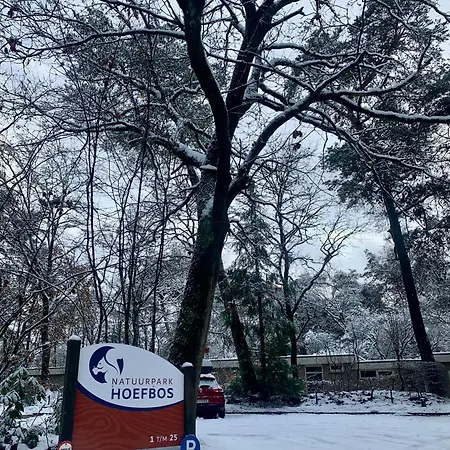 Veluwse Wolf: Natuurlijk Genieten! Tatil Evi *