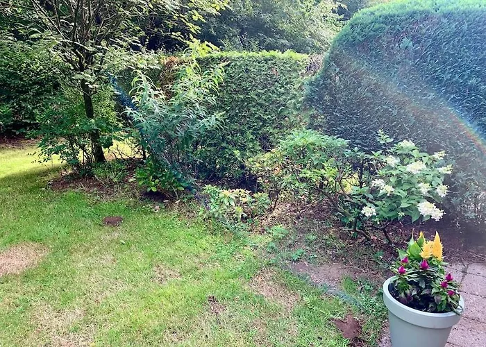 Veluwse Wolf: Natuurlijk Genieten! *