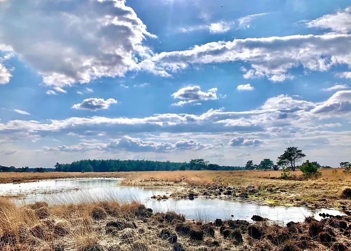 Veluwse Wolf: Natuurlijk Genieten! Holiday home