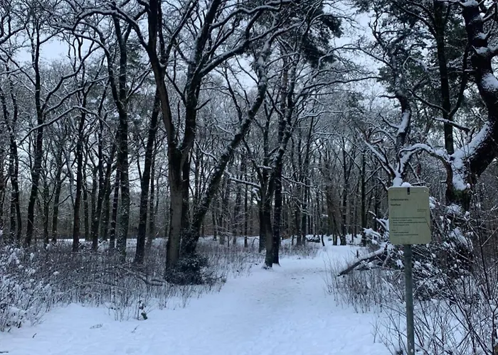 Veluwse Wolf: Natuurlijk Genieten! *