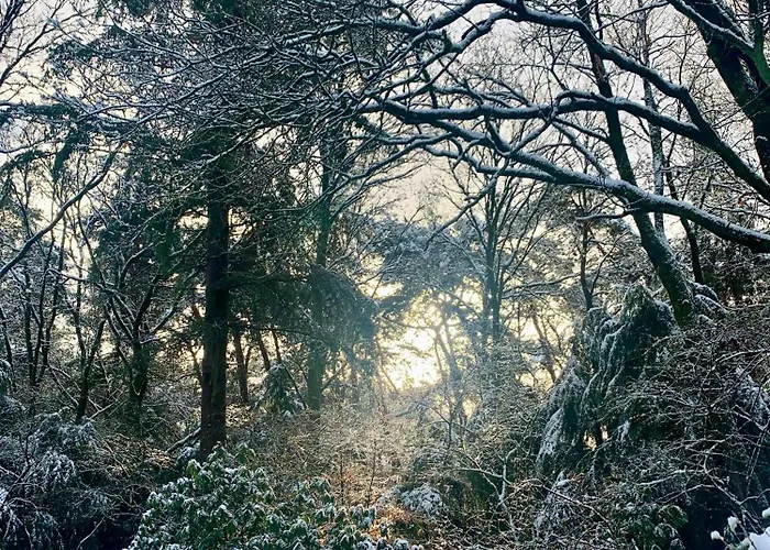 Veluwse Wolf: Natuurlijk Genieten! 펜션 *