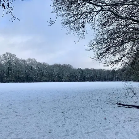 Feriehus Veluwse Wolf: Natuurlijk Genieten!