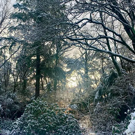 Veluwse Wolf: Natuurlijk Genieten! Feriehus *