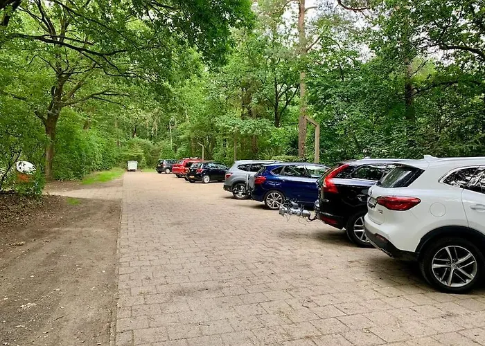 Veluwse Wolf: Natuurlijk Genieten!