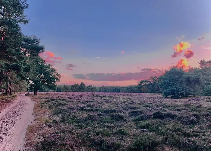 Veluwse Wolf: Natuurlijk Genieten! Feriehus Otterlo