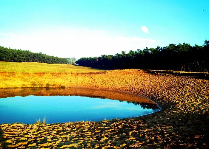 Veluwse Wolf: Natuurlijk Genieten! * Otterlo