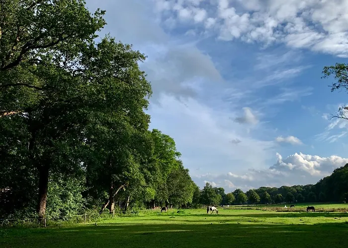 Veluwse Wolf: Natuurlijk Genieten! Otterlo