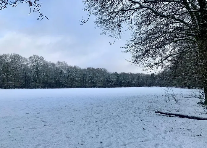 Feriehus Veluwse Wolf: Natuurlijk Genieten!